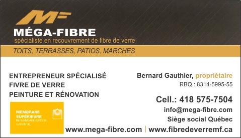 Carte d'affaire Méga-Fibre